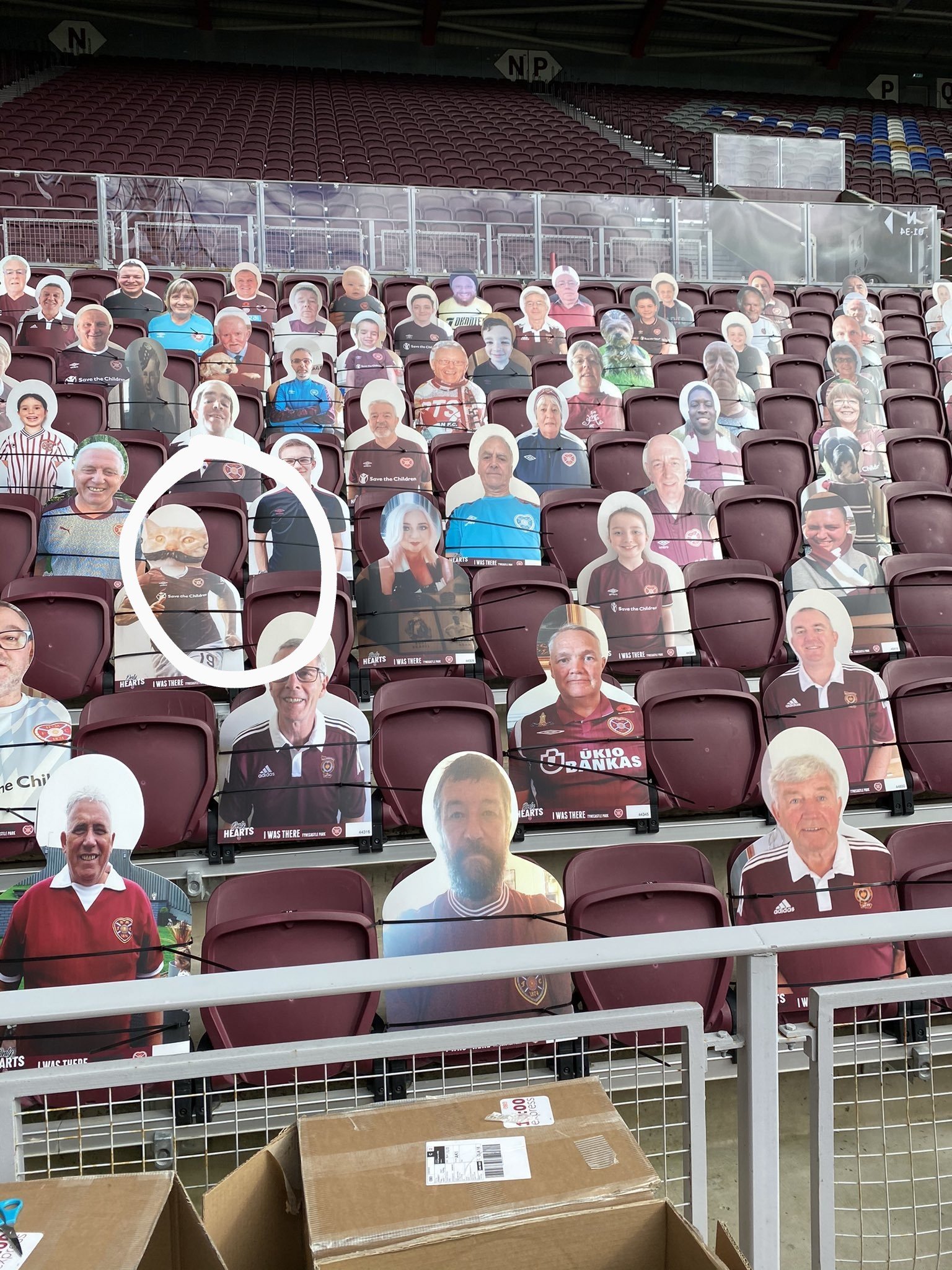 A face in the crowd - Page 2 - The Terrace - Jambos Kickback